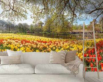 Bulbgarden De Keukenhof, Lisse, Zuid-Holland, , Netherlands by Rene van der Meer
