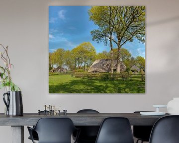 Bauernhaus mit Bäumen rundum, Diever, Drenthe, Niederlande von Rene van der Meer