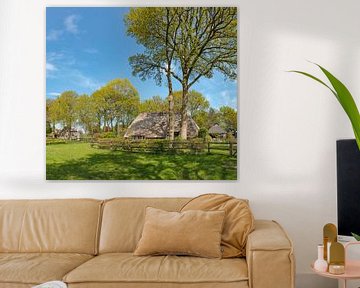 Bauernhaus mit Bäumen rundum, Diever, Drenthe, Niederlande von Rene van der Meer