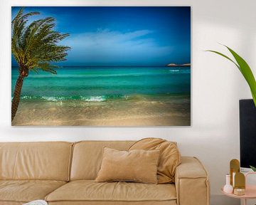 romantisch e azuren zee met palmboom van Rita Phessas
