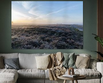 Regte heide in de vroege ochtend van MaxDijk Fotografie shop