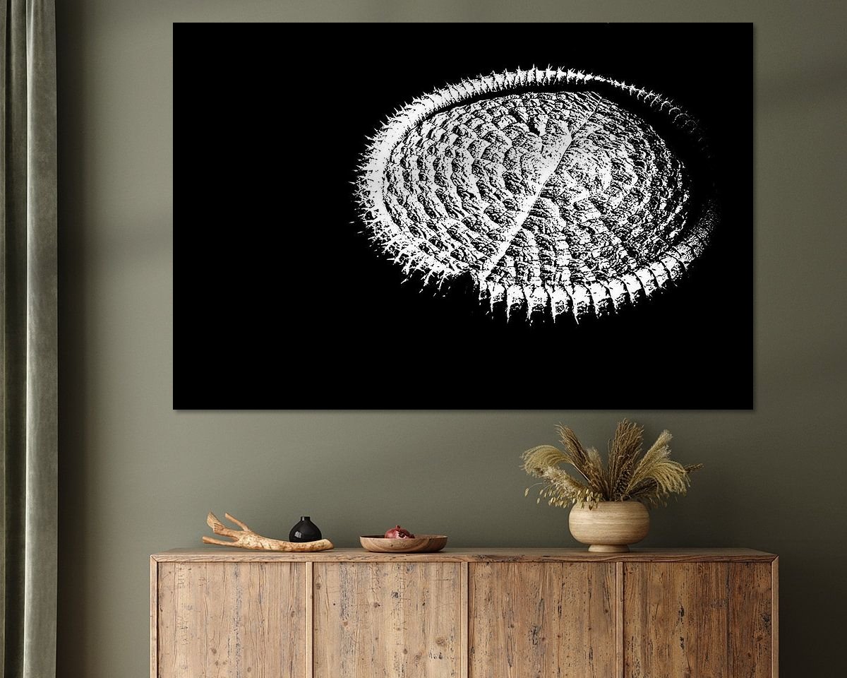 Raumvorschau