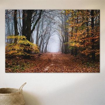 Der Rand des Herbstes von Tvurk Photography
