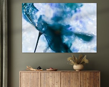 Blauwe Hortensia IJs | Fine Art Foto van Nanda Bussers