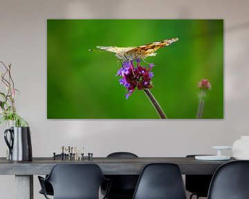 Vlinder smult aan een bloem van Masselink Portfolio