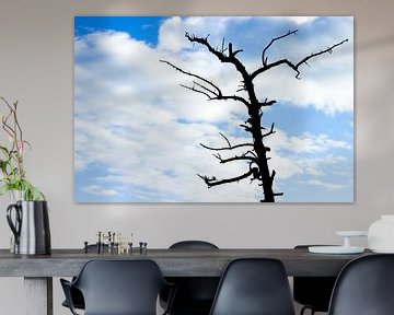 Blattloser Baum gegen einen freien blauen Himmel mit weißen Wolken von Devin Meijer