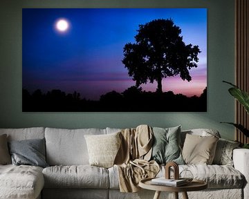 Volle maan op een heldere avond by GeFo @photo
