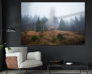 Nebel im Wald by Alena Holtz