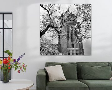 Grote Kerk Dordrecht (printemps avril 1968) sur Dordrecht van Vroeger