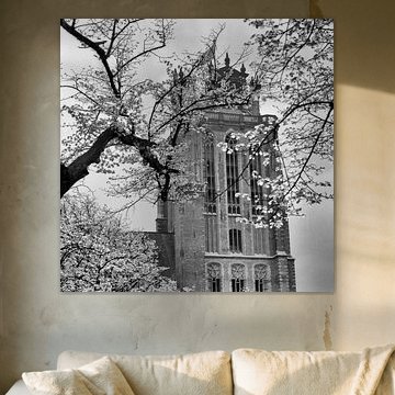 Grote Kerk Dordrecht (voorjaar april 1968)