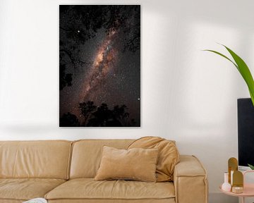 Milky Way in the Bolivian jungle van Lucas De Jong