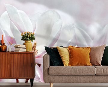 Magnolia by Violetta Honkisz