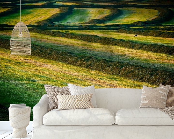 Sfeerimpressie behang: Gemaaid gras op het platteland van Vathorst van Studio de Waay