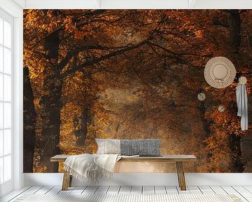 Scenic autumn by Rob Visser