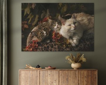 Autumn cats