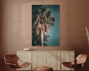 palmboom op een zomers eiland