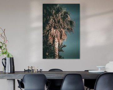 palmboom op een zomers eiland van Jonathan van Rijn