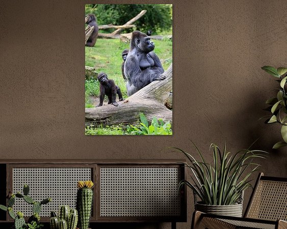 Aperçu de la chambre