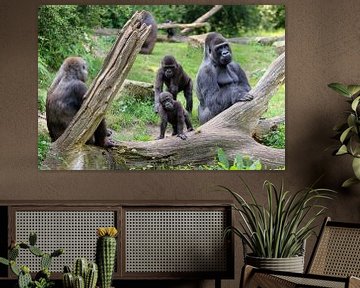 Gorilla familie met vader en zoon van Dennis van de Water