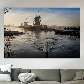 Swan swimming in a stream in a winter landscape with windmills