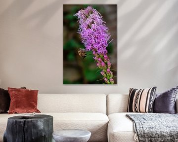 Bloeiende plant met Bij