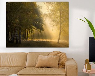 Schönes goldenes Licht im Wald. von Jos Pannekoek