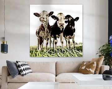 Koeien in de wei van Jessica Berendsen