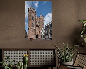 Sassenpoort Zwolle van Peter Bartelings