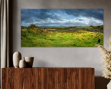 R.I.P. Ruhe in Frieden, hügelige Landschaft mit Grabstein, Wales von Rietje Bulthuis