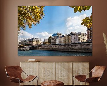 View to building on the river Seine in Paris, France van Rico Ködder