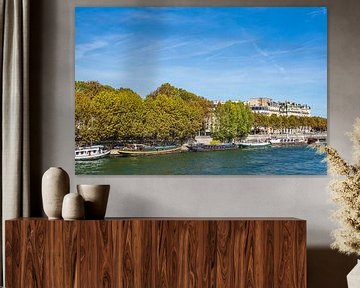 View to ships on the river Seine in Paris, France van Rico Ködder