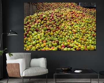 hill of apples