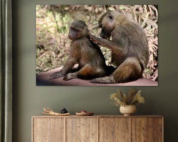 Le singe voit le singe faire - Tanzanie sur Charrel Jalving