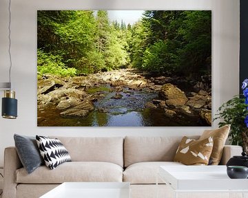 Plodda Falls by Babetts Bildergalerie