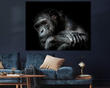 Chimpanzee by Karin vd Waal