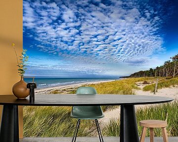 Baltic Sea - on the Darß by Reiner Würz / RWFotoArt