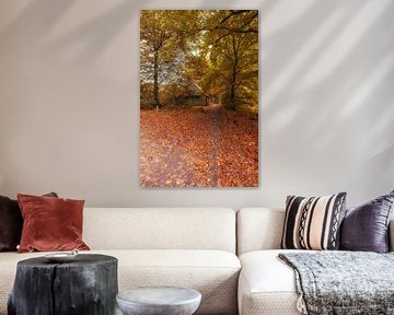 Autumnmood | De Bronnen | Ootmarsum by Rob van der Pijll