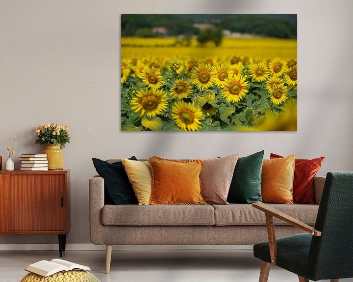 Sfeerimpressie: Zonnebloemen in Toscane van Ruud van der Lubben