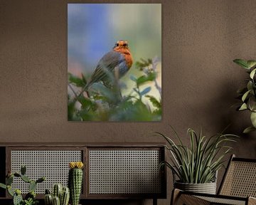 Robin (redbreast) by Kim de Been