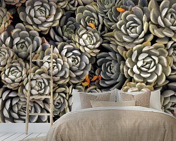 ARTICHOKES by KUNST ART
