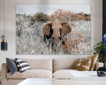Etosha - naderende olifant van Rene Siebring