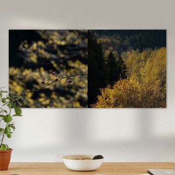 Autumn in Upper Svaneti