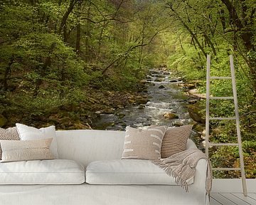 Fris lente groen bij Bode rivier in Harz Bodetal van Cor de Hamer