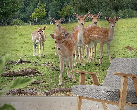 Raumvorschau