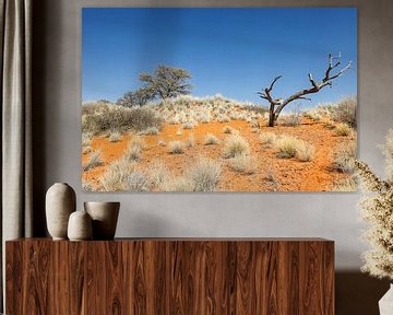 Baum in der Kalahari