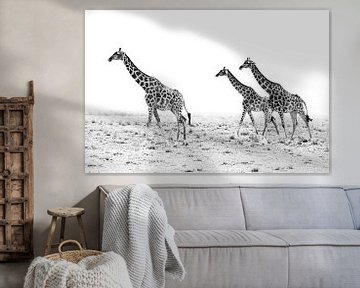 Giraffenwanderung by Britta Kärcher