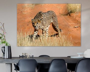 Gepard in Namibia van Britta Kärcher