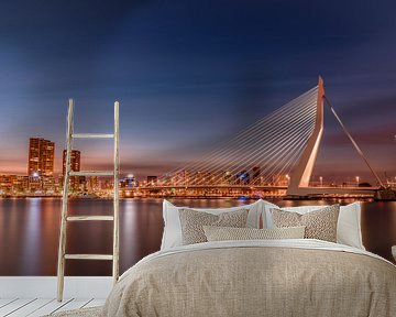 Erasmus bridge at twilight by Gea Gaetani d'Aragona