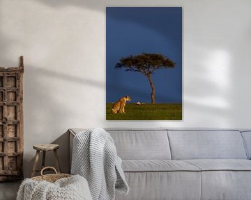 Lionne dans la lumière du matin (Masai Mara, Kenya) sur Evert Doorn