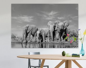 Drinking elephants at a waterhole sur Robert Peeters